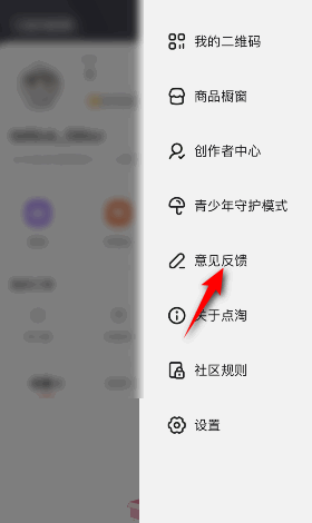 点淘怎么意见反馈?点淘意见反馈教程图片2